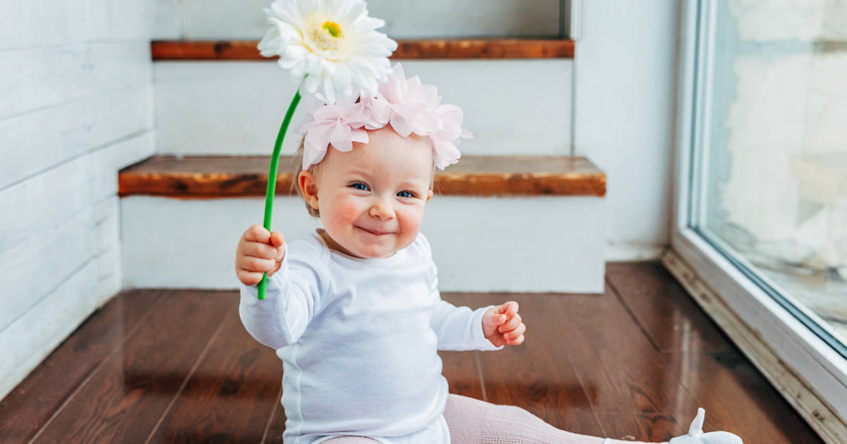 Flores Rosaura – La Niña de Graná